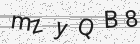 Código gerado pelo captcha