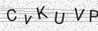 Código gerado pelo captcha